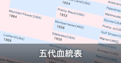 五代血統表
